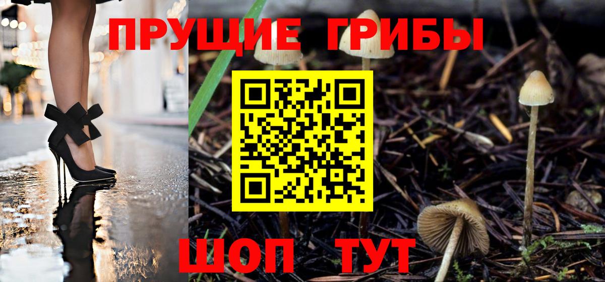 Псилоцибиновые грибы ЛСД  Вход с VPN  Курган 